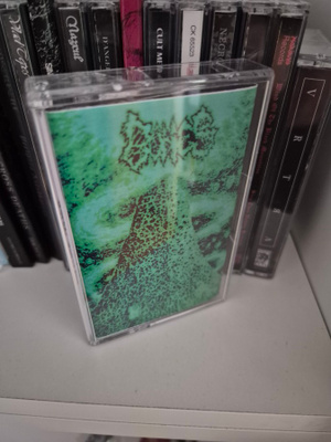 Bones - Demo 2013