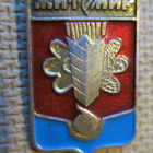 CCCP (Ukraina): kaksi vintage kaupunkipinssiä - Zhytomyr - pikkukuva 4