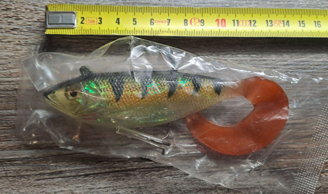 Storm wildeye seeker shad!