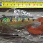 Storm wildeye seeker shad! - pikkukuva 1