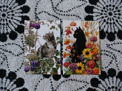~Kissa kortti~ 2kpl