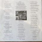 Sinead O'Connor – I Do Not Want What I Haven't Got (LP) - pikkukuva 4