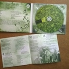 cd, Tundramatiks: Roinan rodeo [rock, folk, punk] - pikkukuva 2
