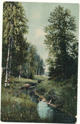 RUOVESI - vanha Carte Postale, kulk. 1907