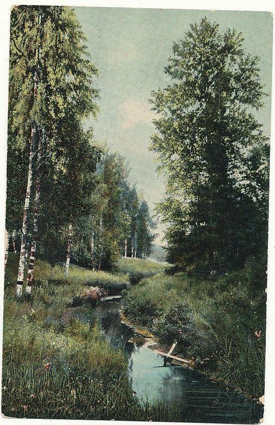 RUOVESI - vanha Carte Postale, kulk. 1907