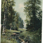 RUOVESI - vanha Carte Postale, kulk. 1907 - pikkukuva 1