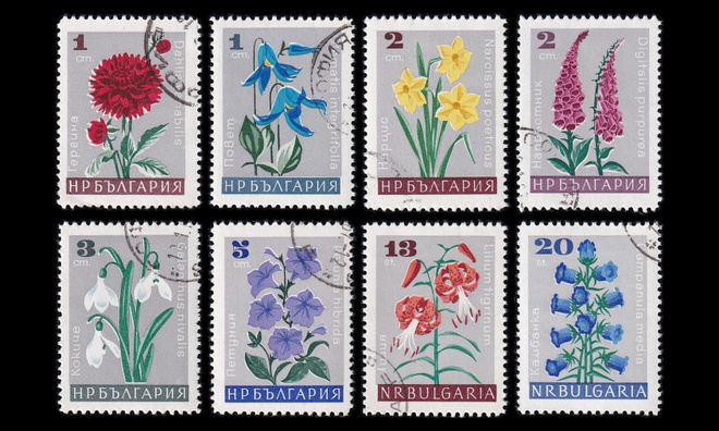 Bulgaria 1683-90 o Puutarhakukkia (1966)