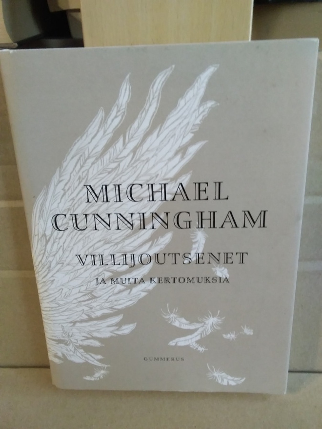 Michael Cunningham: Villijoutsenet ja muita kertomuksia
