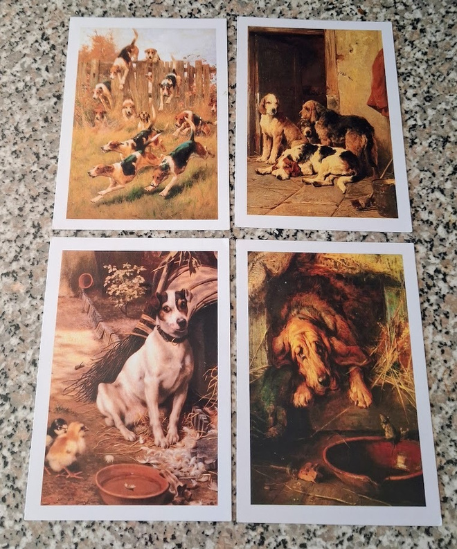 4 KOIRA POSTIKORTTIA