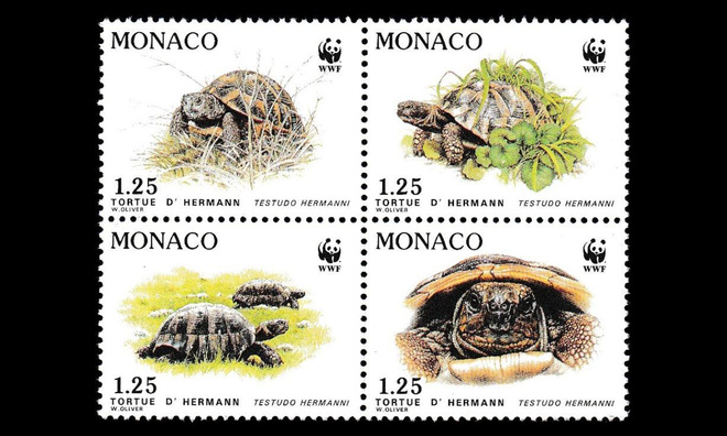Monaco 2046-9vb ** Kilpikonnia neliö (1991)