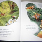 Tuuli Hypén Veikan metsäretki - pikkukuva 2