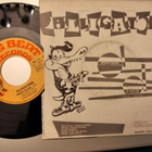 Alligators sinkku - pikkukuva 2