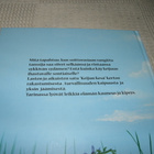 Tikkanen - Ilmonen Keijun kesä - pikkukuva 4