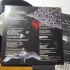 No Shame 7" EP FIN 2005 Face The Truth - pikkukuva 3