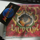 CULT - LIL DEVIL CD SINGLE SLEEVE - pikkukuva 1