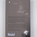 Johanna Venho : Ensimmäinen nainen : romaani - pikkukuva 2