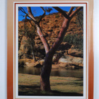 Ted Smart ym. : The Outback - pikkukuva 2