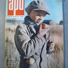 APU - LEHTI - N:o 44 / 1960 - pikkukuva 1