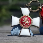 Hopeinen. Suomen Leijonan Ritarimerkki. MINI - pikkukuva 1