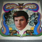 LP vinyyli Bobby Vee: Do what you gotta do - pikkukuva 1