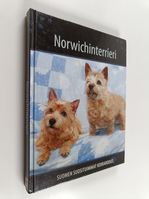 Norwichinterrieri