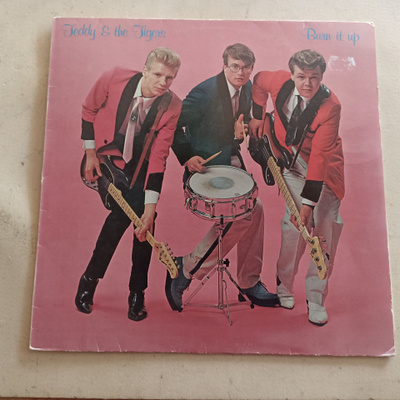 LP  Teddy & Tigers  Burn it up