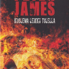 Peter James: Kuolema leikkii tulella - pikkukuva 1