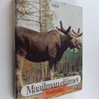 Maailman eläimet : Nisäkkäät 2 - pikkukuva 1