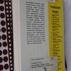 E. R. Burroughs : Tarzan Sumatran viidakoissa ( 1.p. k.po ) - pikkukuva 2