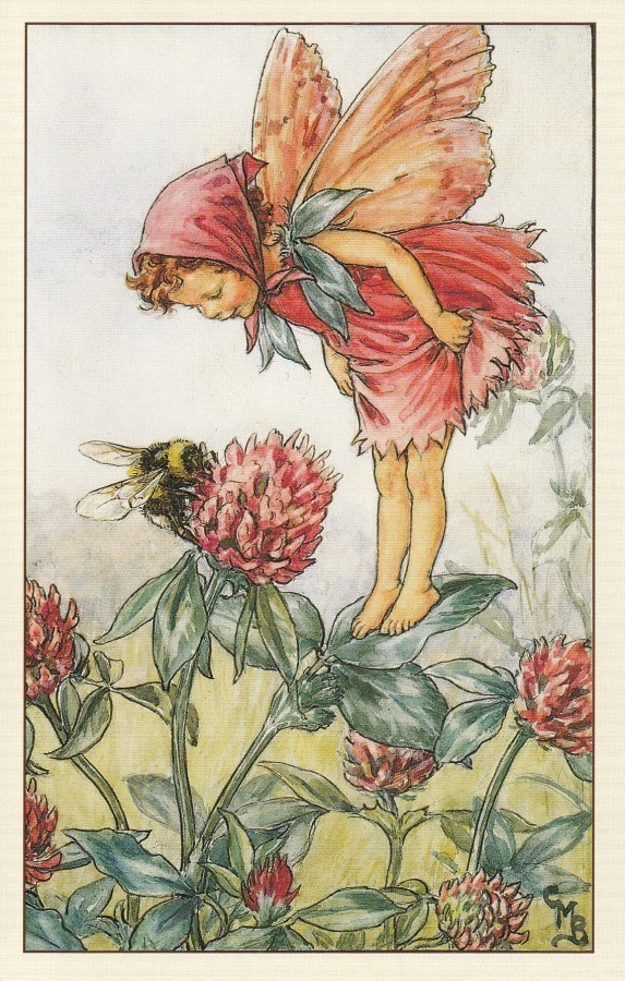 Cicely Mary Barker: Kukkakeijut puna-apila