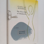 Andre Philippus Brink : Cape of Storms : The First Life o... - pikkukuva 1
