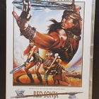 Red Sonja ( Arnold Schwarzenegger, Brigitte Nielsen) - pikkukuva 1