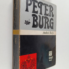 Andrej Belyj : Peterburg - pikkukuva 1