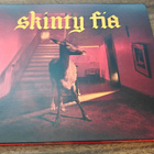 FONTAINES D.C. Skinty fia CD - pikkukuva 1