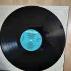 Dannyn parhaita lp - pikkukuva 3