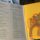 Euphoria 1969 LP - sunshine pop/psych - pikkukuva 3
