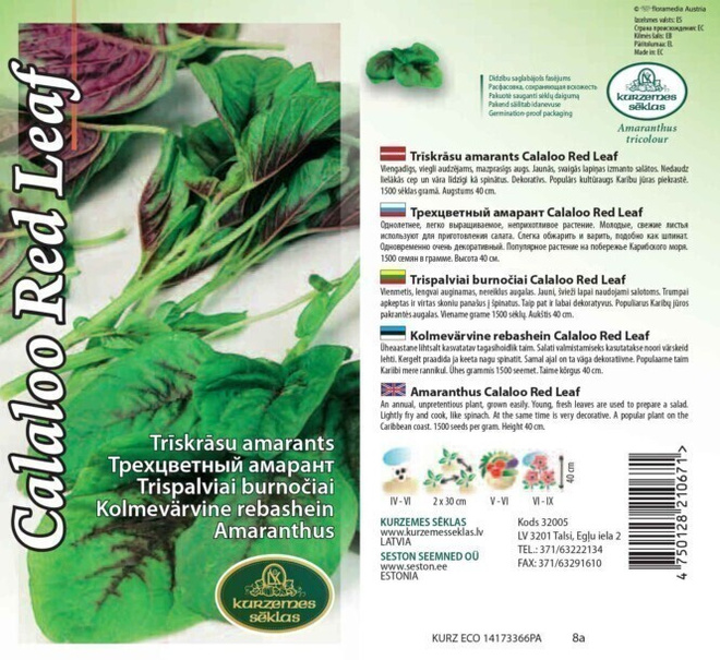 Revonhäntä "Calaloo Red Leaf" siemenet #
