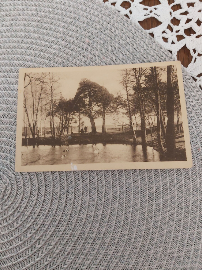 Kuopio Väinölänniemi kortti