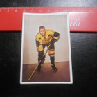 K15 Jenkki Jääkiekko-sarja  # 87 Yrjö Hakala Saipa - pikkukuva 1