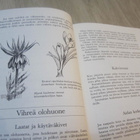 Rivitalon puutarha – Arno Kasvi - pikkukuva 5