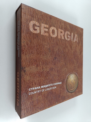 Irina Abzhandadze : Strana zhidkogo solnca = Country of l...