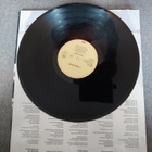 Climie Fisher - Everything LP - pikkukuva 2