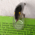 Rapala Original muikku vaappu - pikkukuva 4