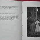 Gustaf Mattsson: En sommarfärd... (Kanarieöarna 1907!) - pikkukuva 3