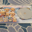 Joulukoira Joulun Jäljillä Disney DVD - pikkukuva 2