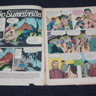 Tarzan lehti 5 / 1971 - pikkukuva 2