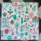 Kauniste / Björn Rune Lie Botanica tyynynpäällinen 20€/kpl - pikkukuva 1