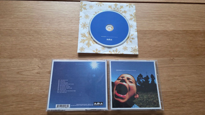 Have heart - Songs to scream at the sun