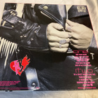 Robin Beck - Trouble or Nothin (LP) - pikkukuva 2