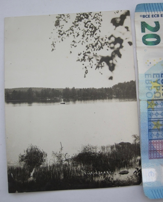 VANHA Valokuva Viikinasaari Tampere 1920-l